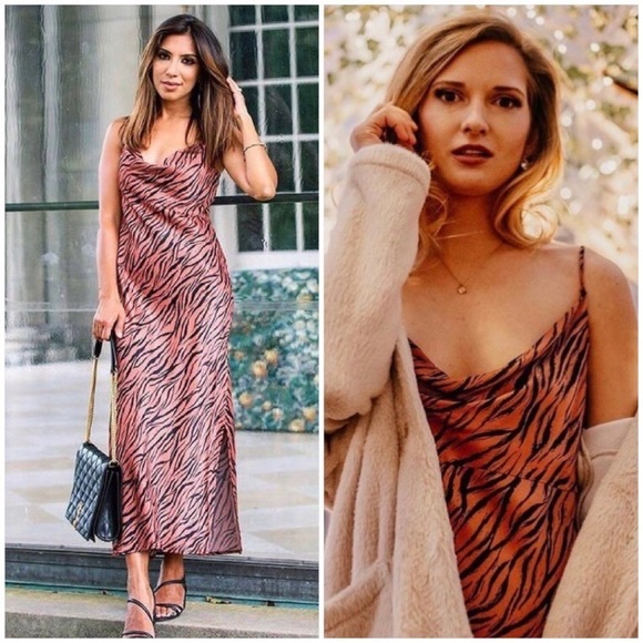 NWT Zebra Print Anthropologie Slip Dress - Picture 5 of 7